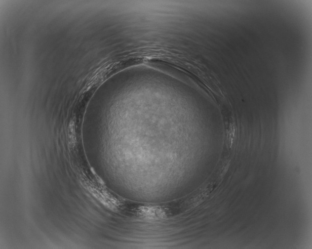 X0000086000520200703231148