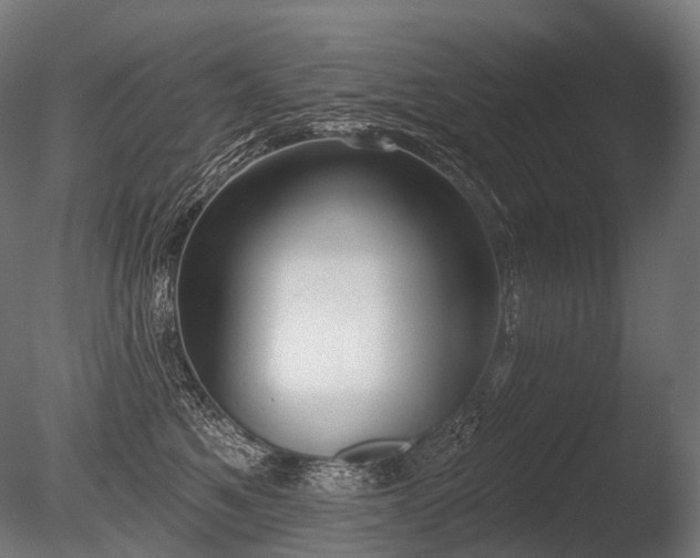 X0000086000521200703231148