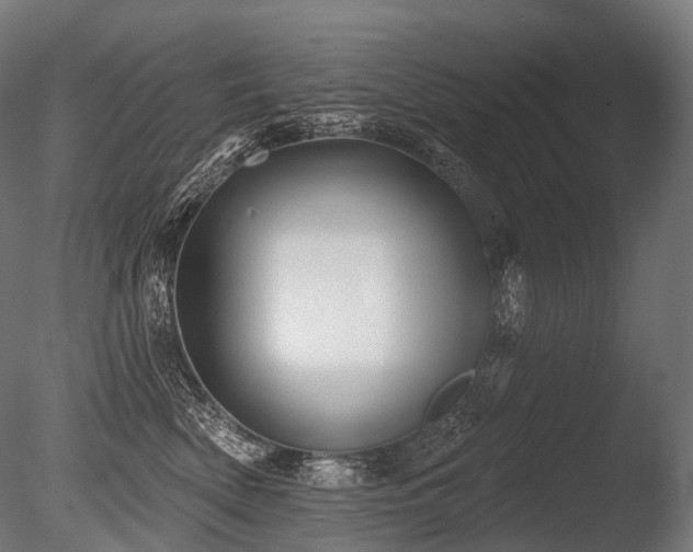 X0000086000522200703231148