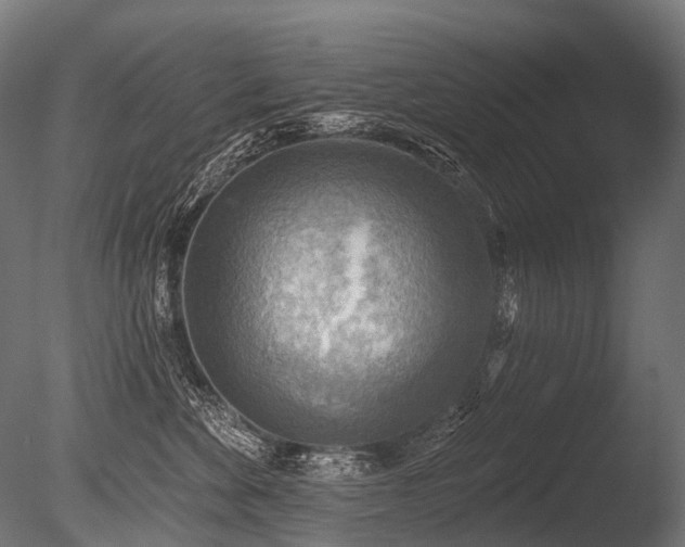 X0000086000524200703231148