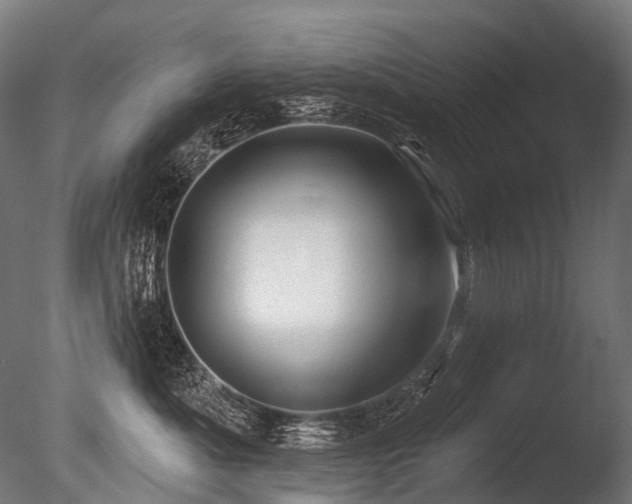 X0000086000525200703231148