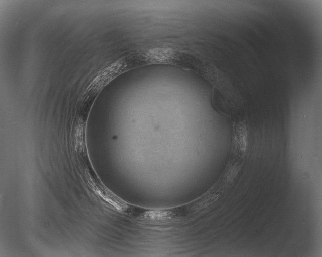 X0000086000526200703231148