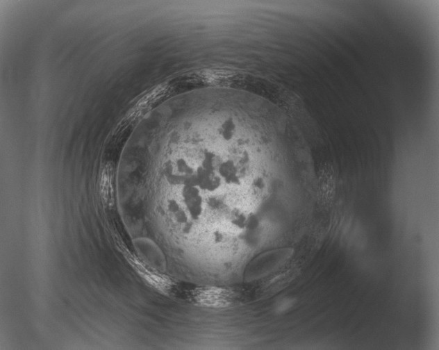 X0000086000527200703231148