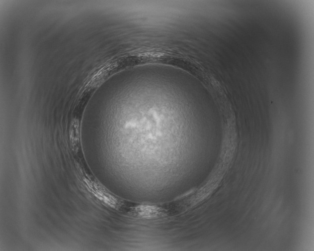 X0000086000528200703231148