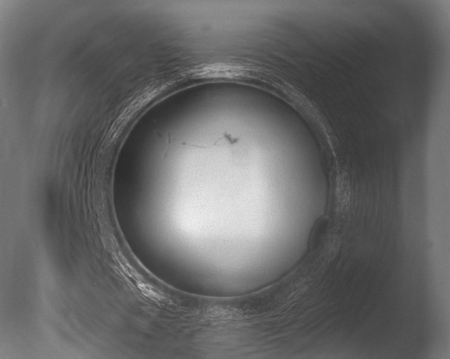 X0000086000529200703231147