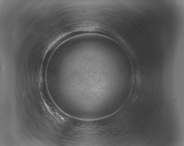 X0000086000532200703231147