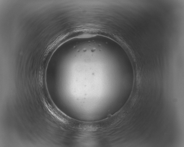 X0000086000533200703231147