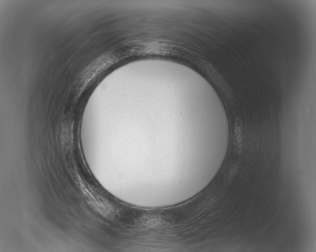 X0000086000534200703231147