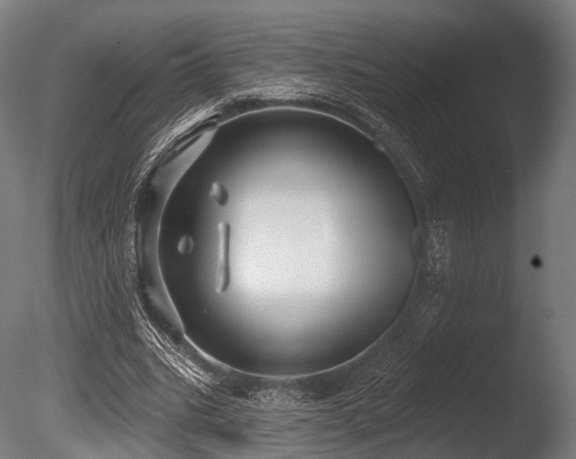 X0000086000535200703231147