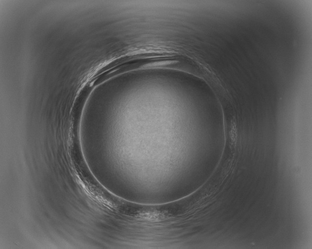 X0000086000540200703231148