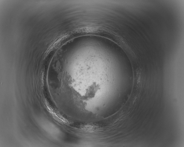 X0000086000542200703231148