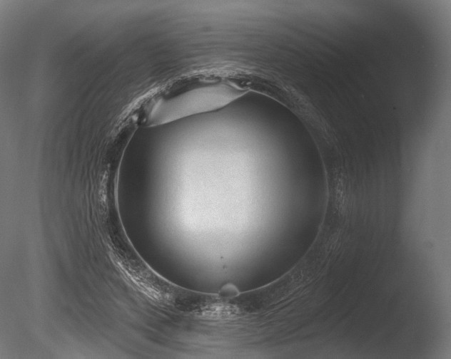 X0000086000543200703231148