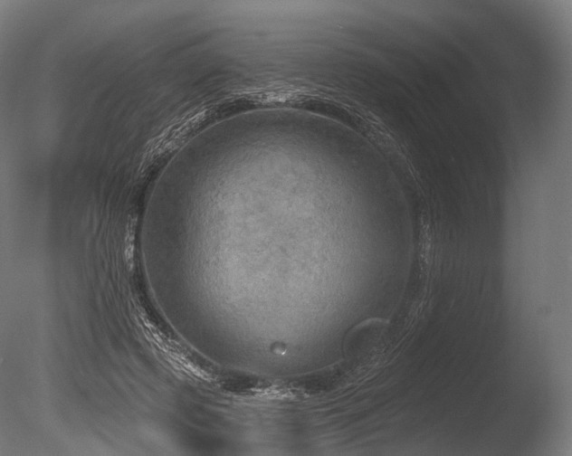 X0000086000545200703231148