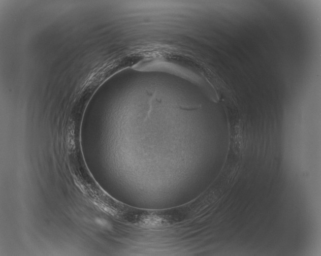 X0000086000547200703231148