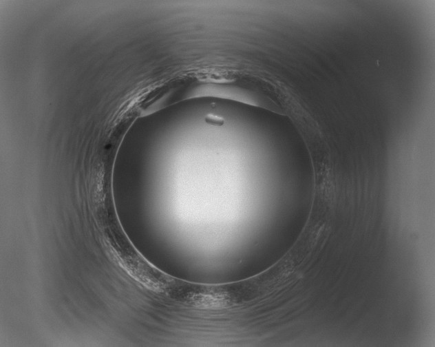 X0000086000548200703231148