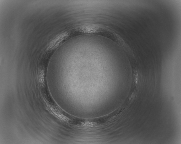 X0000086000549200703231148