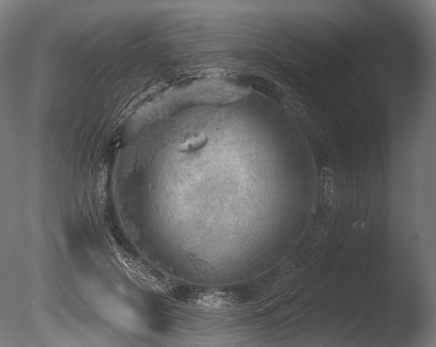 X0000086000550200703231148