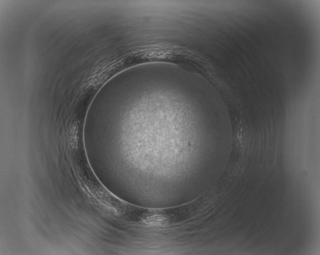 X0000086000551200703231148