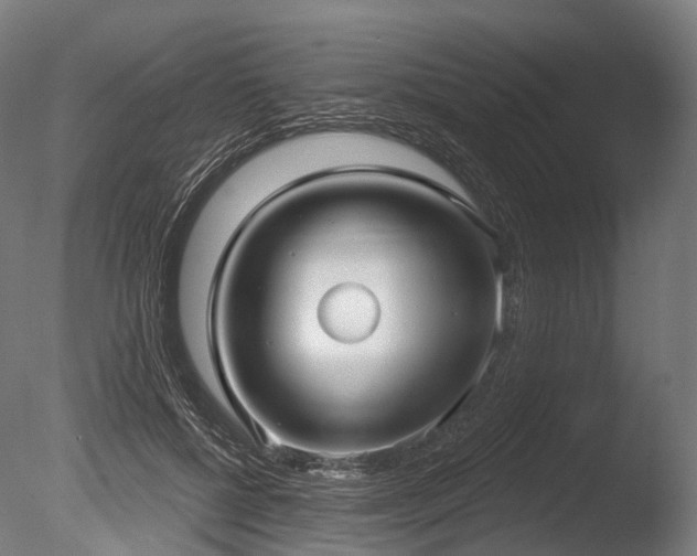 X0000086000552200703231148