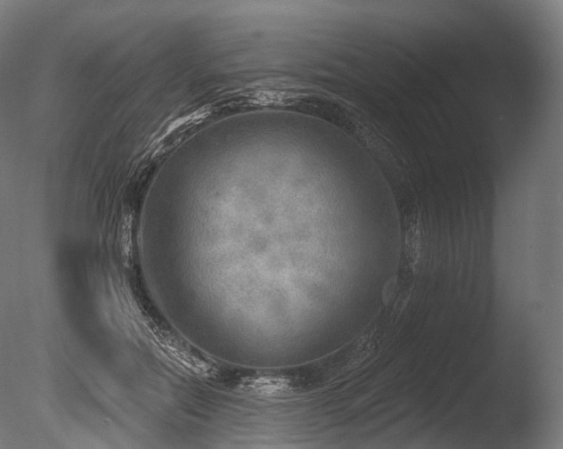 X0000086000554200703231148