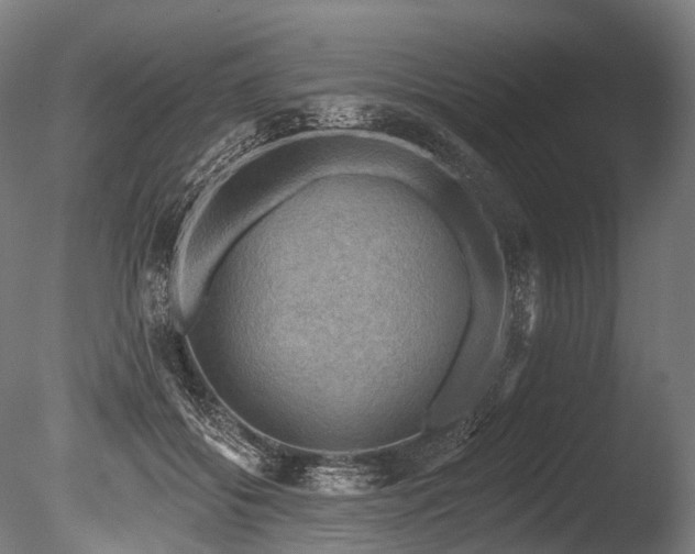 X0000086000556200703231148