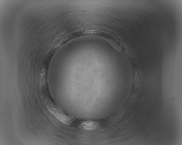 X0000086000557200703231148