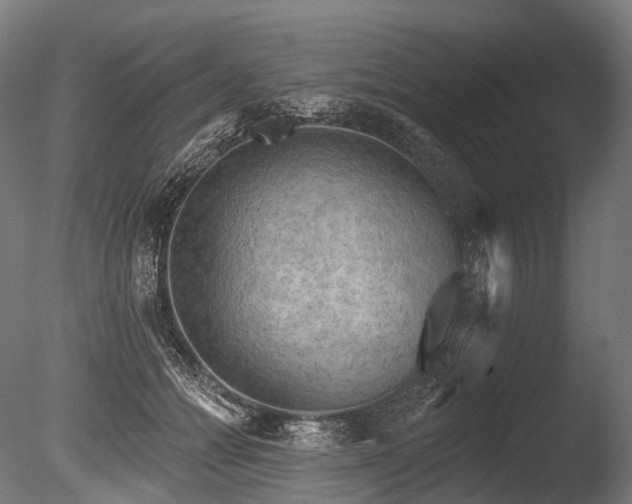 X0000086000558200703231148