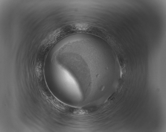 X0000086000559200703231148