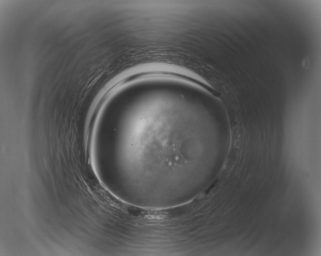 X0000086000560200703231148