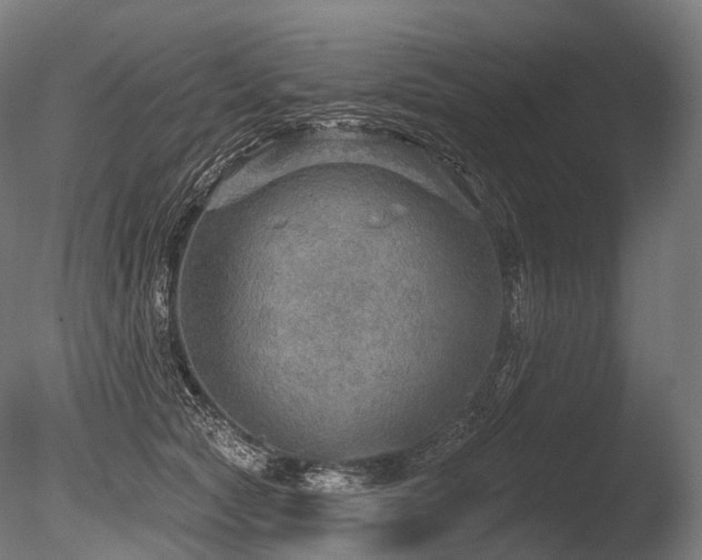 X0000086000561200703231148