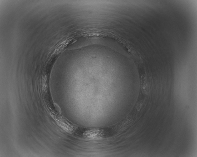 X0000086000563200703231148