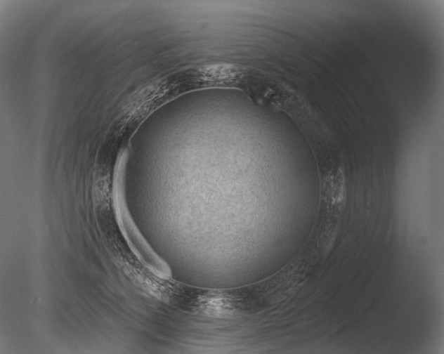 X0000086000564200703231148