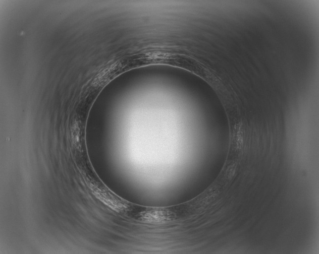 X0000086000567200703231148