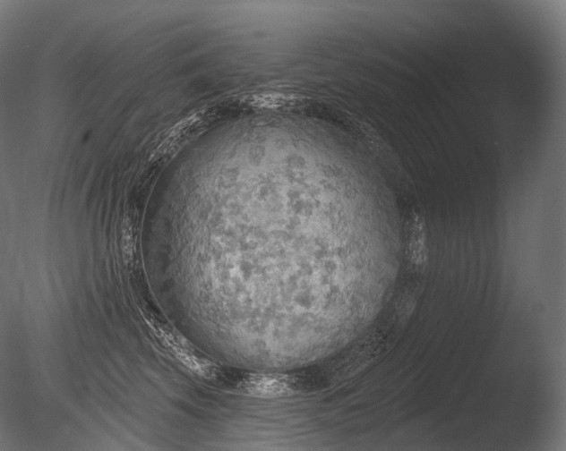 X0000086000569200703231148