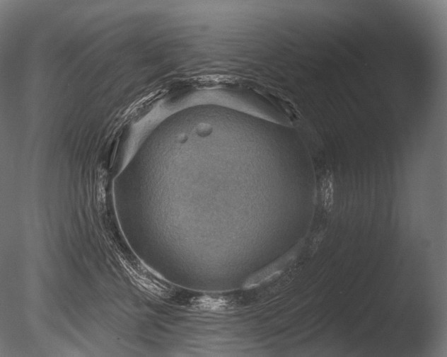 X0000086000570200703231148