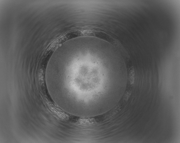 X0000086000571200703231148