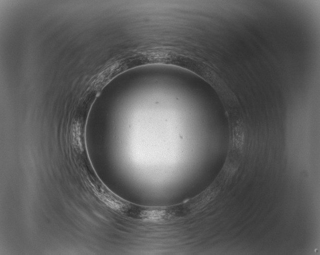 X0000086000575200703231148