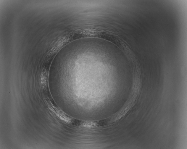 X0000086000576200703231148