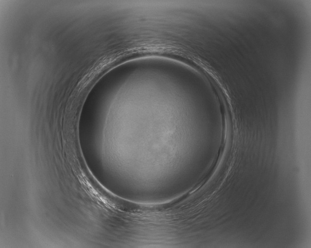 X0000086000577200703231147