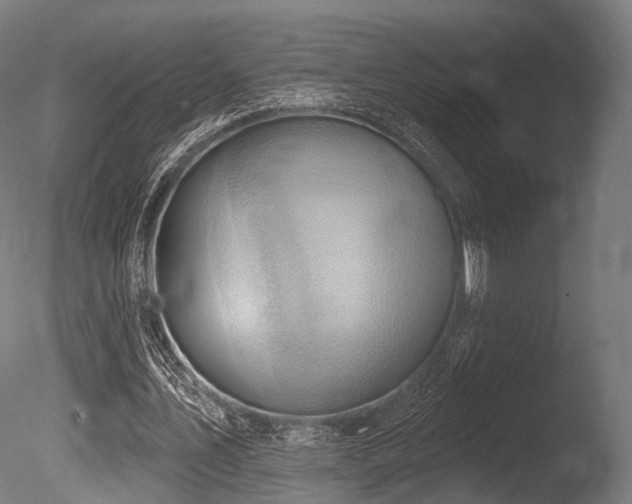 X0000086000579200703231147