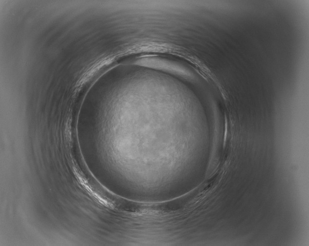 X0000086000581200703231147