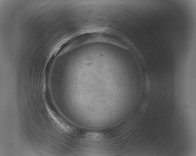 X0000086000582200703231147