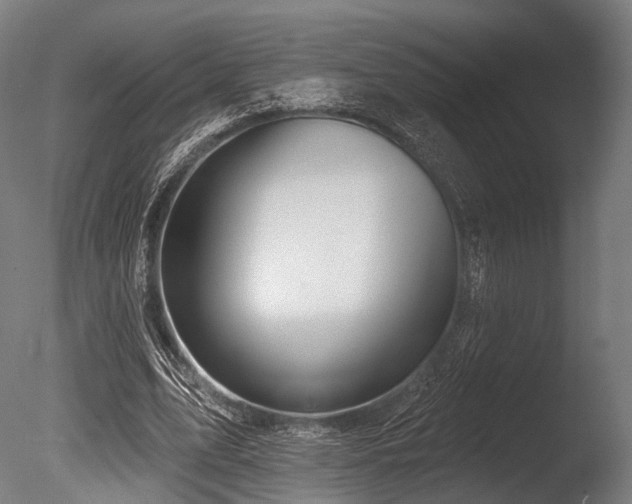 X0000086000583200703231147