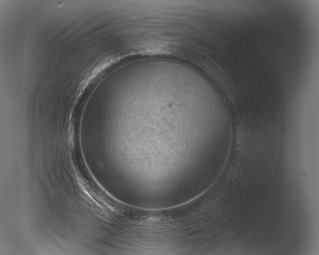 X0000086000584200703231147