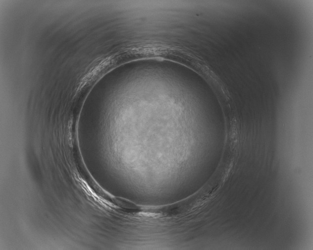 X0000086000585200703231147