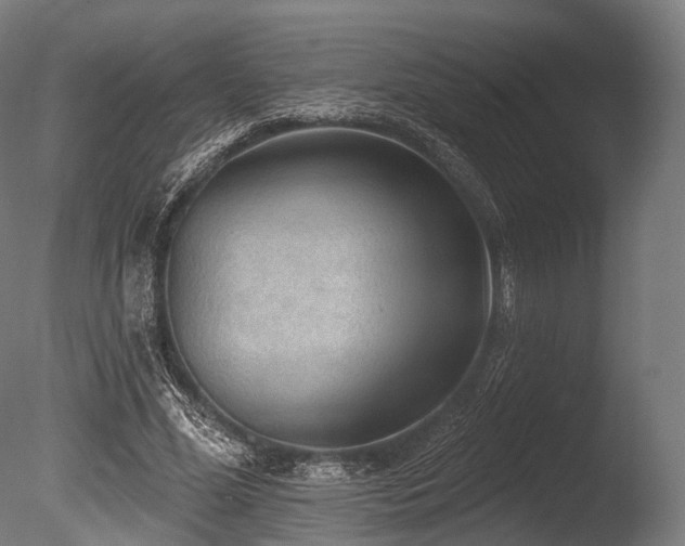 X0000086000588200703231147