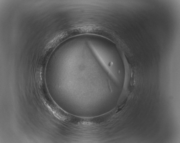 X0000086000590200703231147