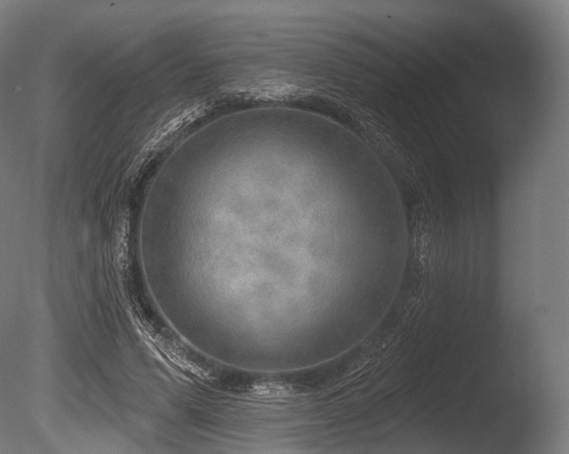 X0000086000591200703231147