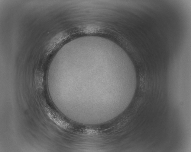 X0000086000592200703231147