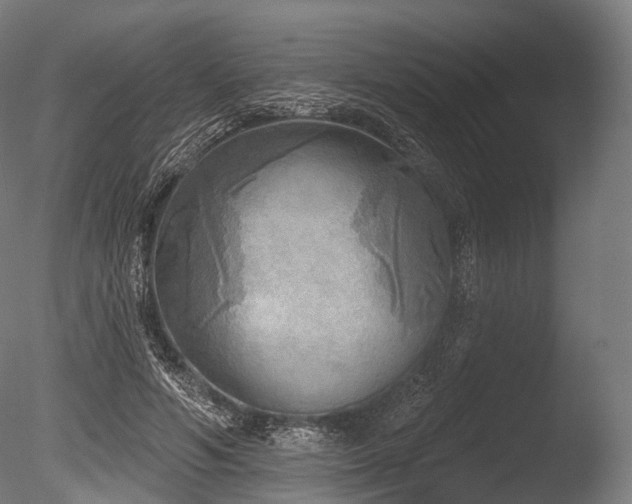 X0000086000594200703231147